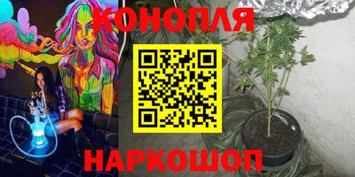 эйфоретик Новокубанск