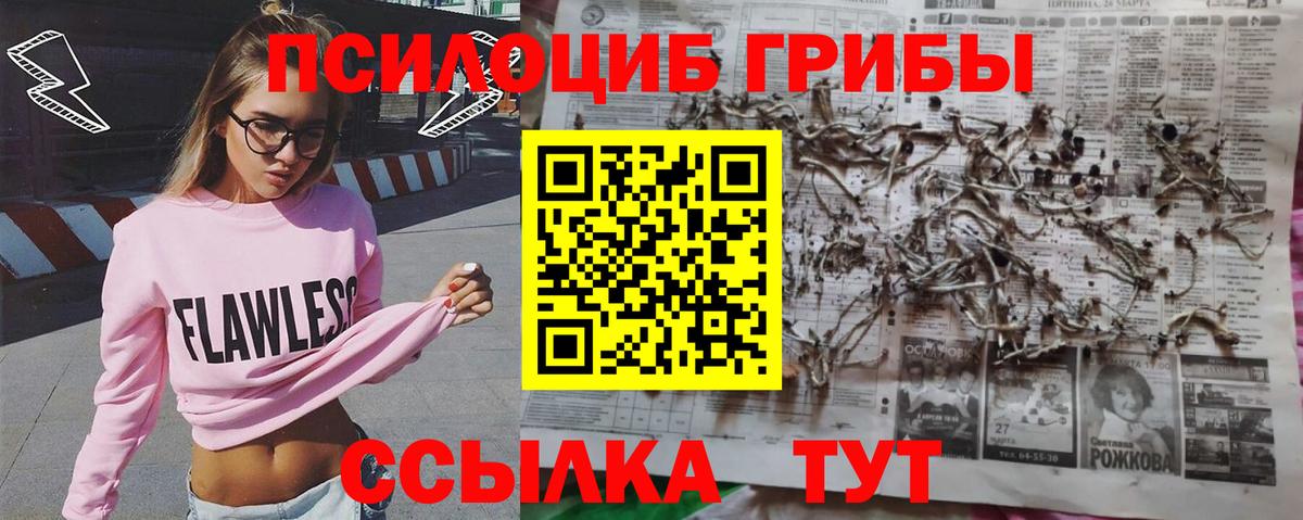 Галлюциногенные грибы Psilocybe  Вход с VPN  Глазов 