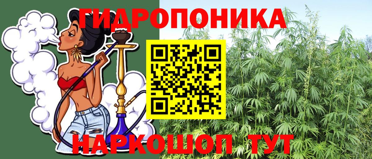 Конопля Ganja  Конопля конопля  Вход с VPN  Глазов  Каннабис индика 
